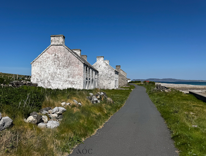 Donegal 8